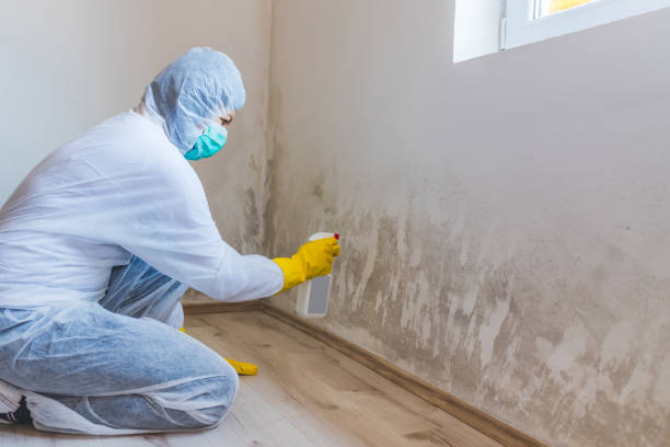 Licensed Bathroom Mold Removal service in Harrison, MI - WQB Mold Removal