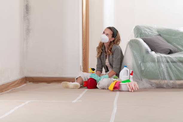 Reliable Bathroom Mold Removal contractor in Harrison, MI by WQB Mold Removal